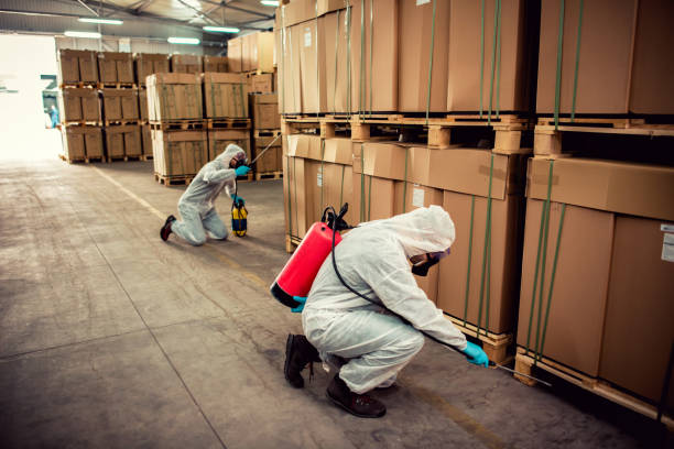 Best Local Pest Control Services  in Dickson, TN