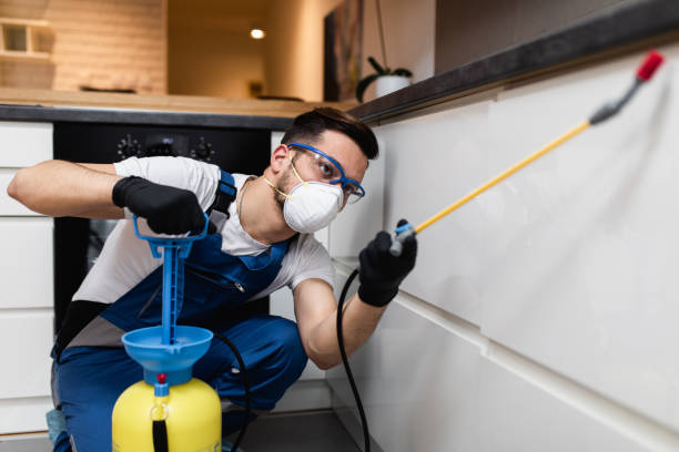 Best Emergency Pest Control  in Dickson, TN