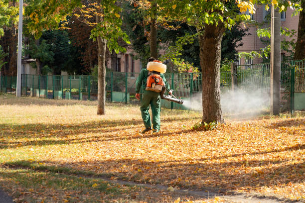 Trusted Dickson, TN Pest Control Experts